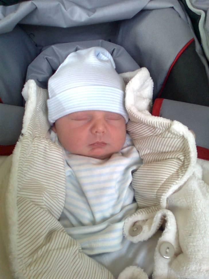 Dreng Phillip billede 8