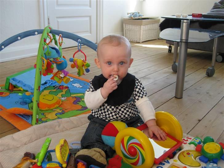 Dreng Phillip billede 14