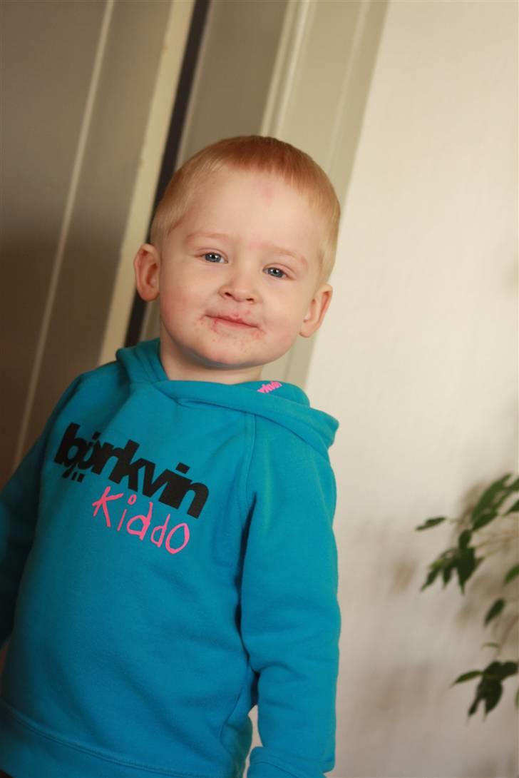 Dreng William billede 1