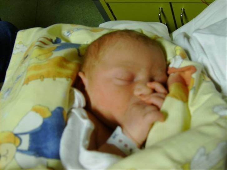 Dreng magnus elias billede 7