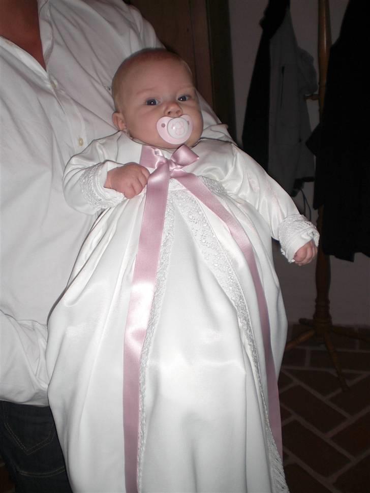 Pige Stella billede 20