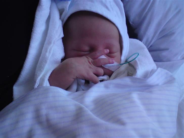 Dreng Malthe billede 2