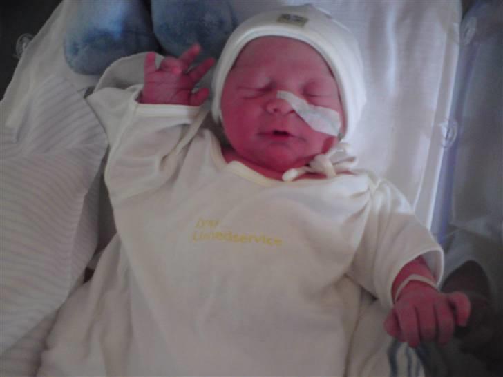 Dreng Malthe billede 4