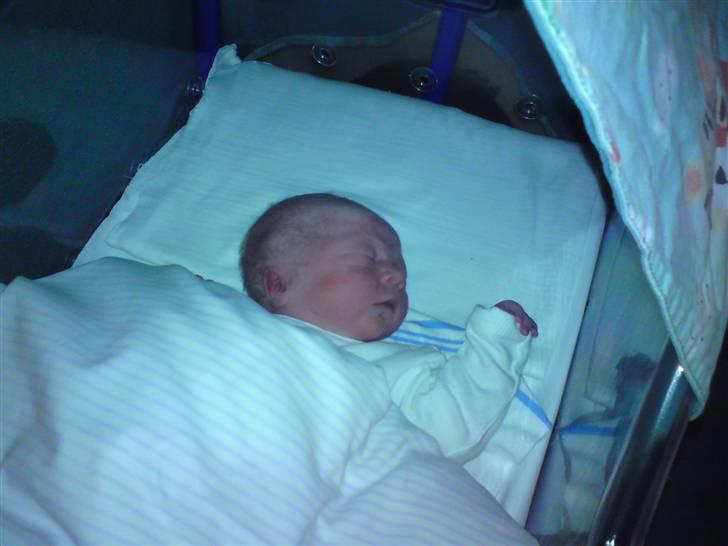 Dreng Malthe billede 5