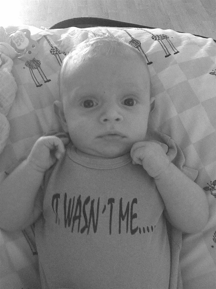 Dreng Jannik billede 4