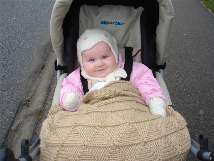 Pige Lærke billede 14