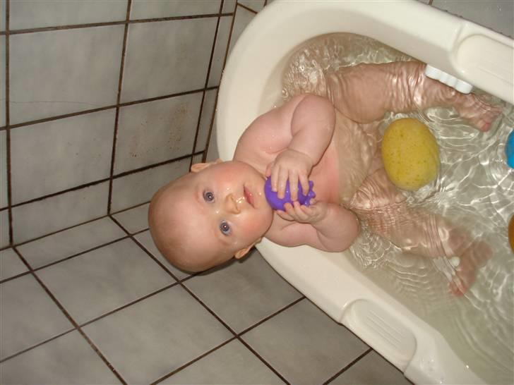 Pige Lærke billede 16