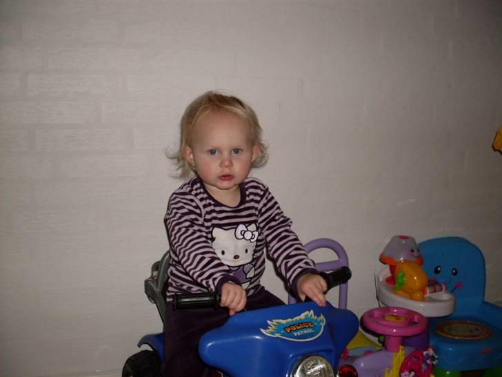 Pige Celina billede 4