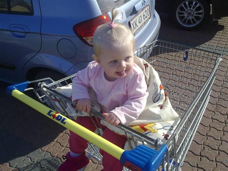 Pige M<3 - malou på vej ind i LIDL ;) Første gang hun sidder sådan ;) billede 18