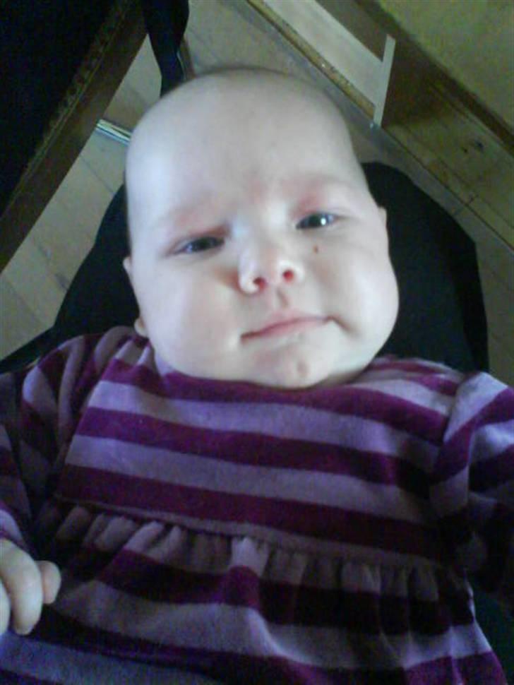 Pige Jessica - lille sveske  billede 16