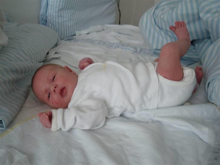 Pige Johanne Hoxer billede 7