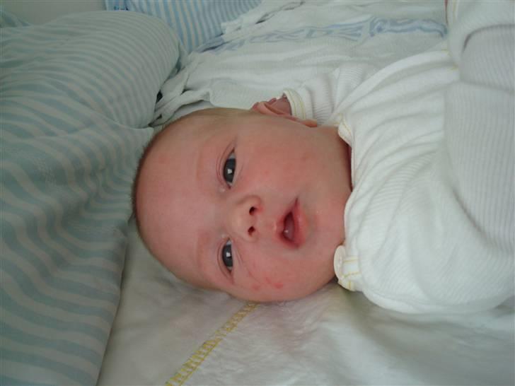 Pige Johanne Hoxer billede 9