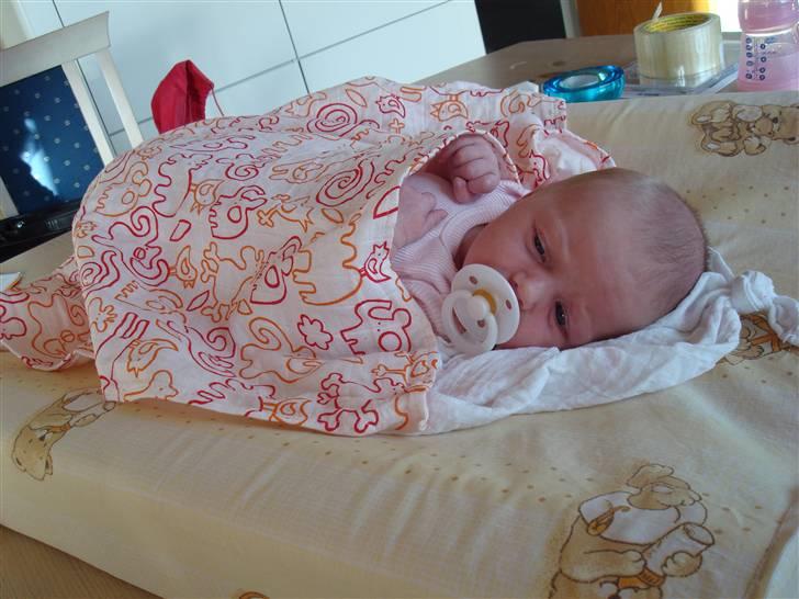 Pige Johanne Hoxer billede 13