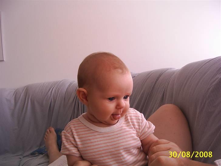 Pige Maiken billede 4