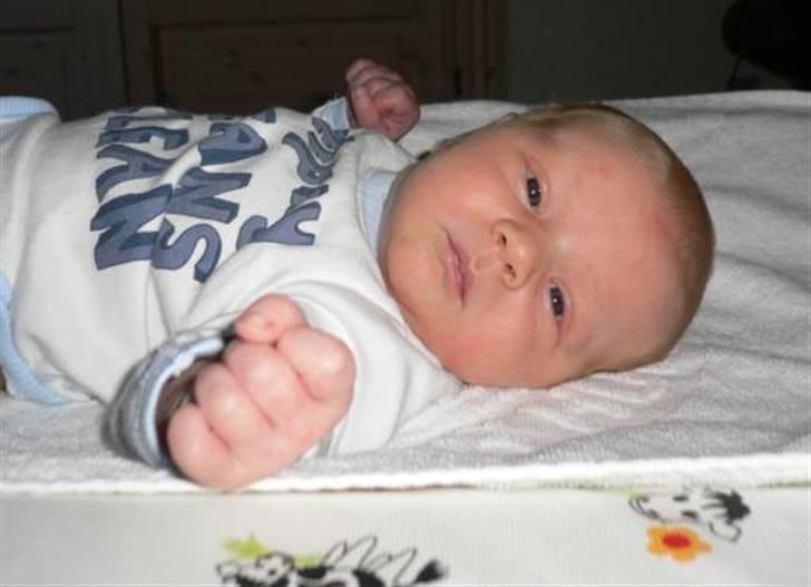Dreng Oliver Marc - Oliver 14 dage gammel billede 1