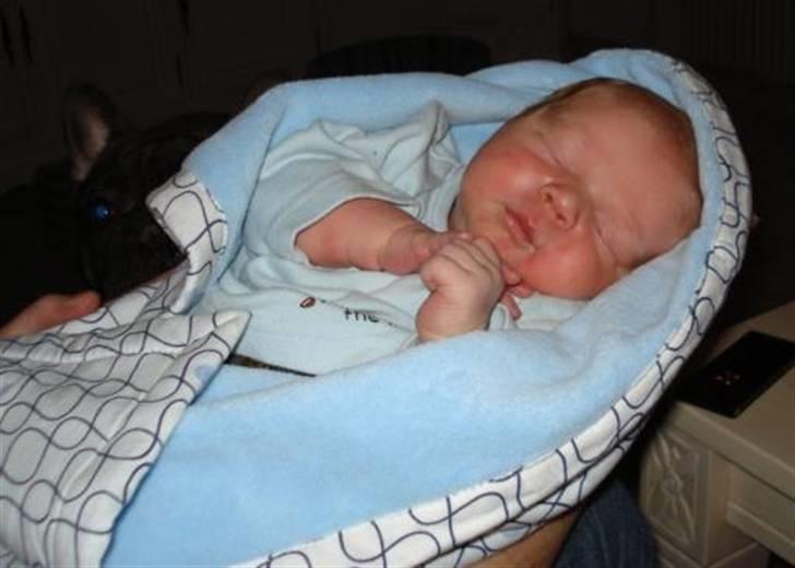 Dreng Oliver Marc - Vores lille søn 5 dage gammel billede 3