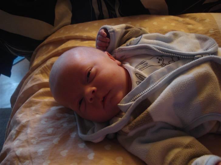 Dreng Malthe billede 8