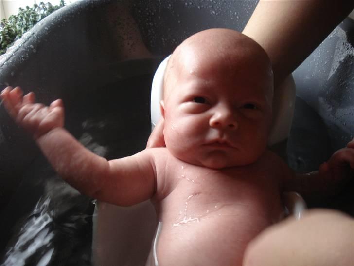 Dreng Malthe billede 9