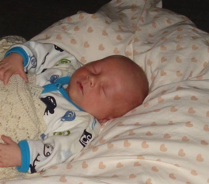 Dreng Malthe billede 10