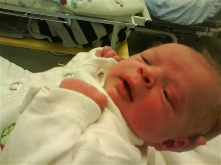 Pige Phoebe billede 1
