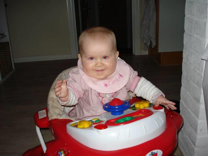 Pige Lærke billede 20