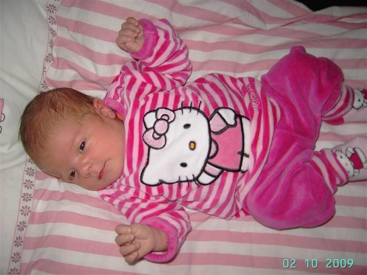 Pige Emilie billede 11