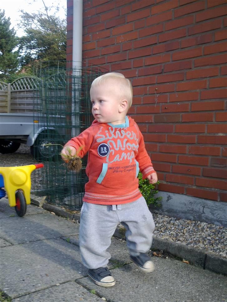 Dreng Nicklas billede 13