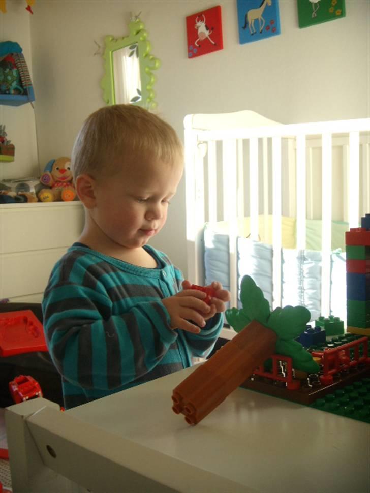 Dreng Nicklas billede 14