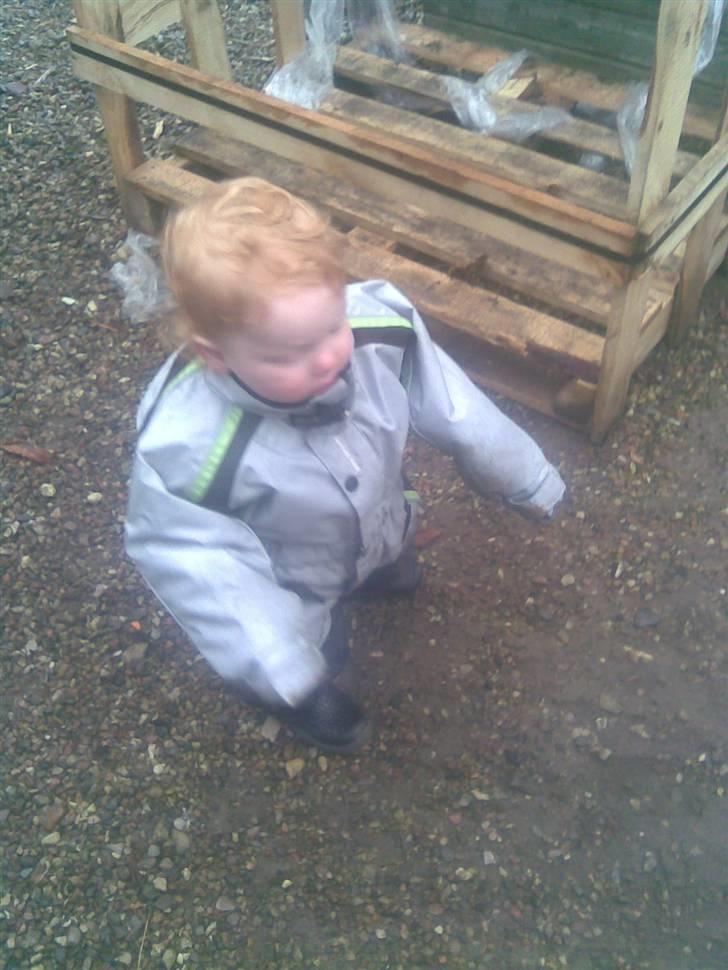 Dreng Nicklas billede 14