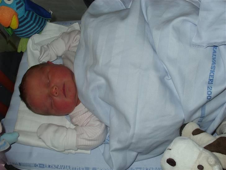 Pige Emilie - 2 dage gammel billede 9