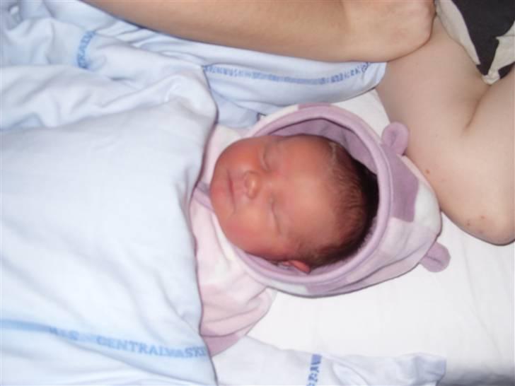 Pige Emilie - 5 dage gammel billede 13