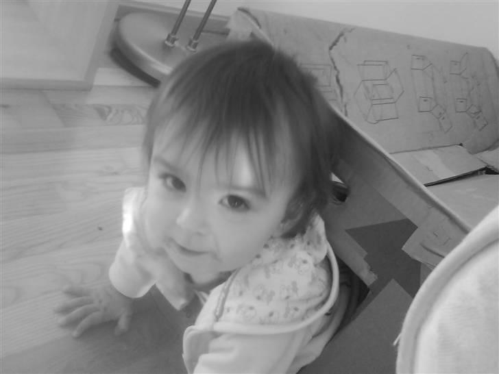 Pige Dominique Angela - 1½ år, kravler ud af missernes kasse billede 17