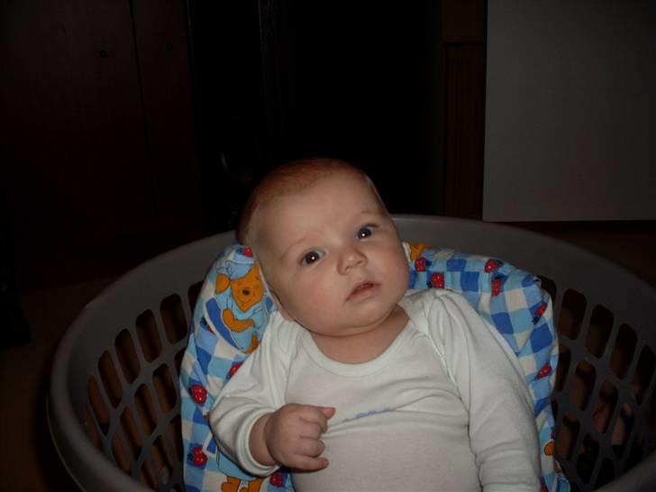 Dreng Tobias billede 1