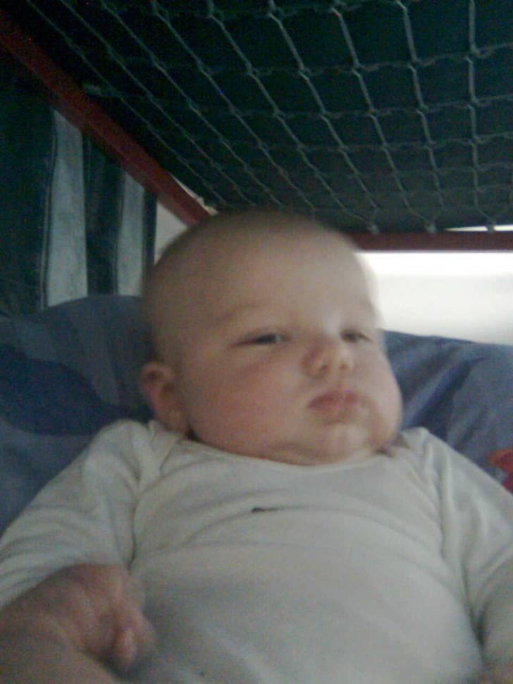 Dreng Tobias billede 2