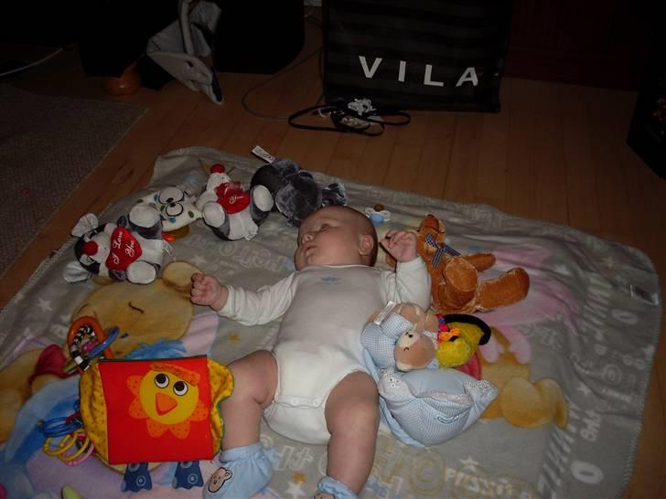 Dreng Tobias billede 4