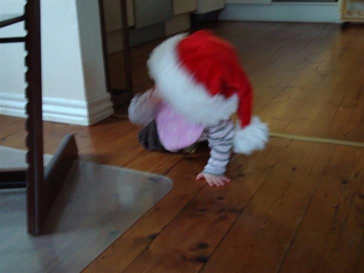 Pige Natascha - Natascha til jul 2008 billede 11