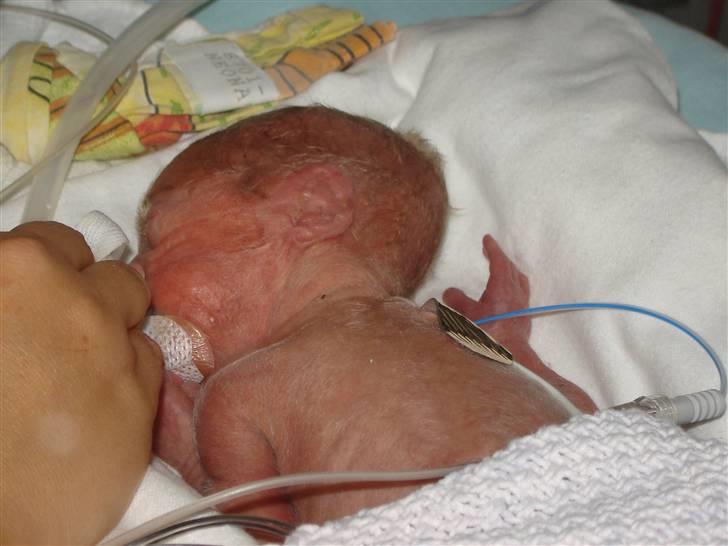 Dreng Damian billede 7