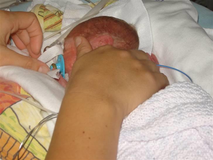 Dreng Damian billede 8