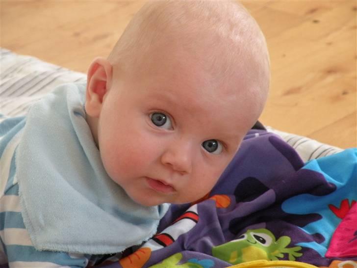 Dreng Elias billede 3