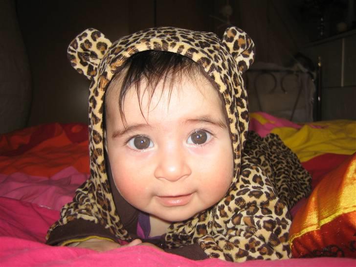 Pige isabella billede 15