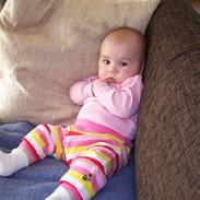 Pige Amalie Machon Malberg