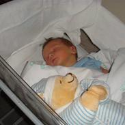 Dreng Lucas Dahl Magnusen