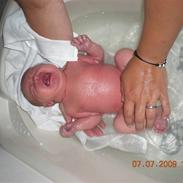 Pige cecilie