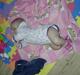 Pige Sascha