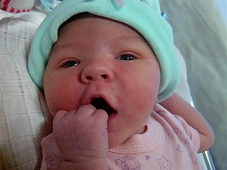 Pige Melisa Smakic billede 2