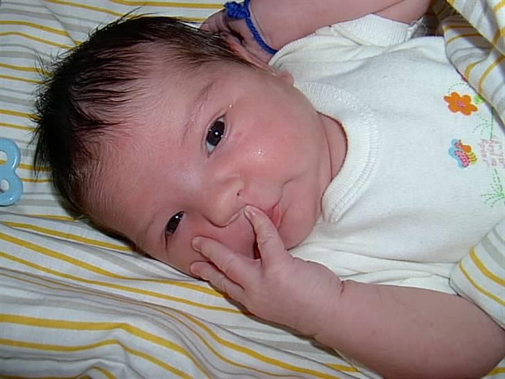 Pige Melisa Smakic billede 5