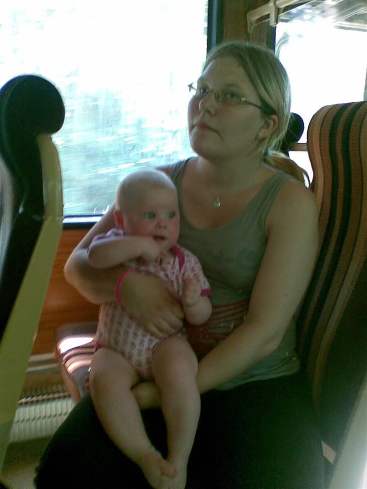 Pige Linette Fuglsang Larsen - Misse og Linette i bussen i Givskud løvepark(juli 2008) billede 12