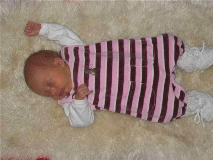 Pige Emilia Sophia billede 10