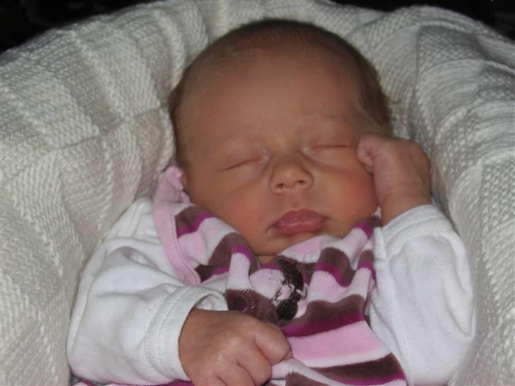 Pige Emilia Sophia billede 11