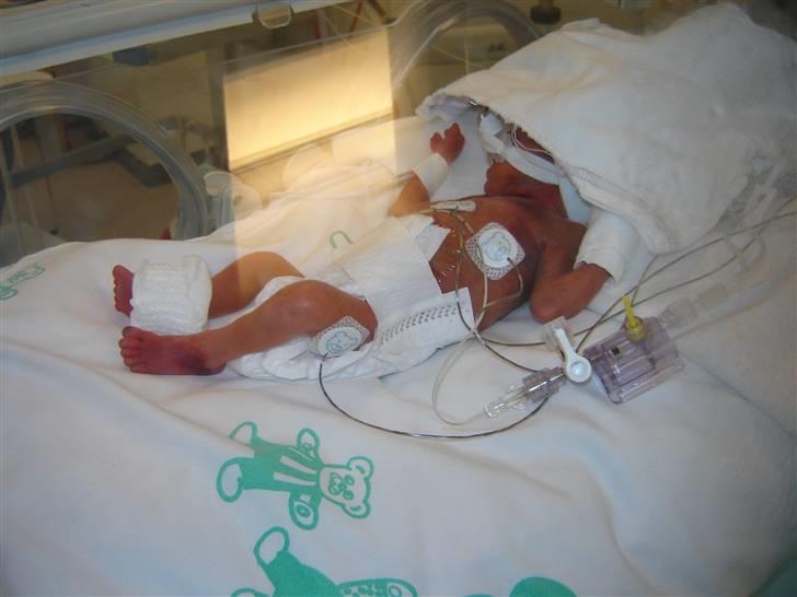 Dreng Damian billede 11